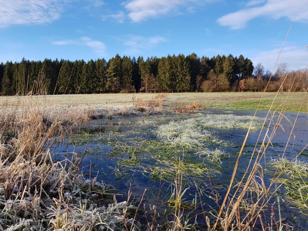 Gite Des Ayrifagnes Theux Esterno foto