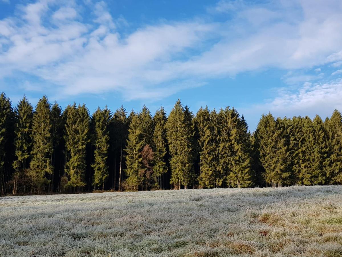 Gite Des Ayrifagnes Theux Esterno foto